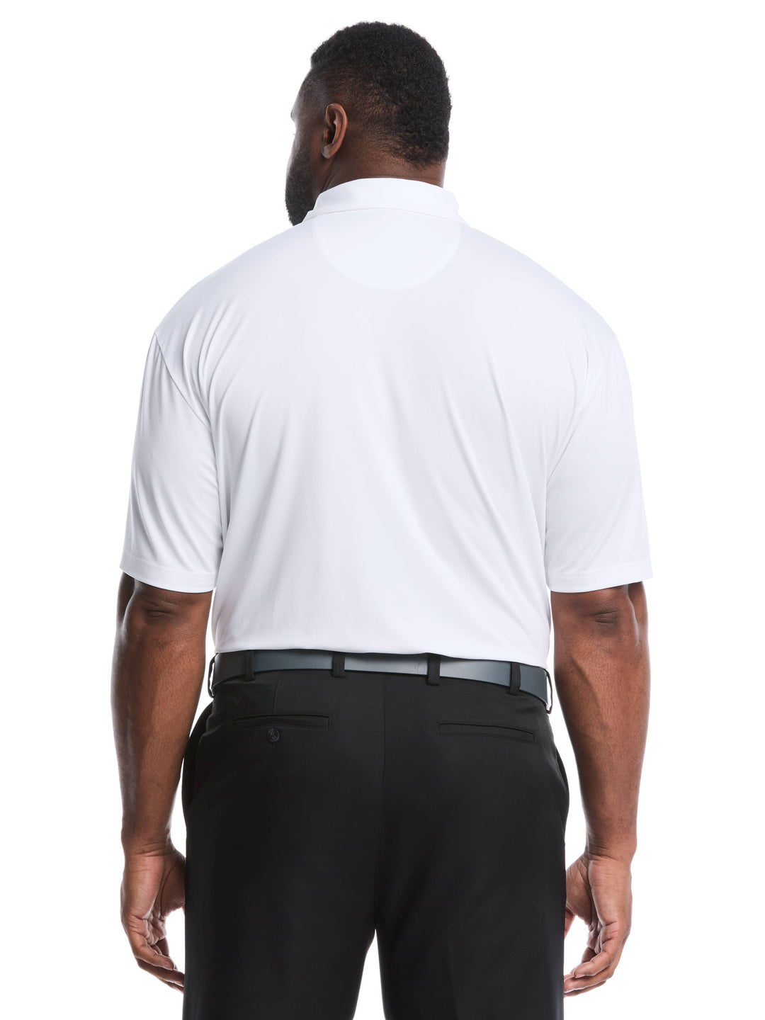 Big & Tall Micro Hex Golf Polo