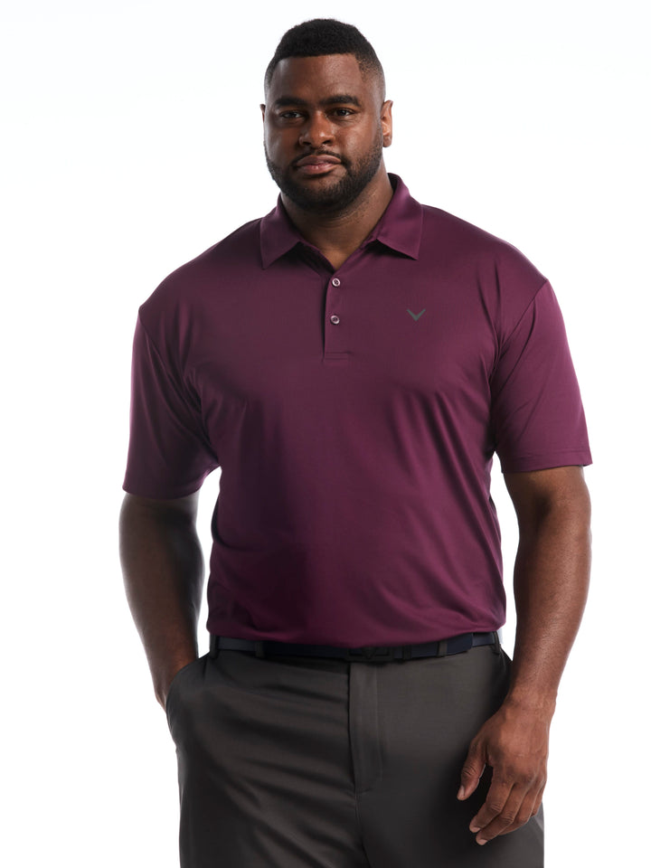 Big & Tall Micro Hex Golf Polo