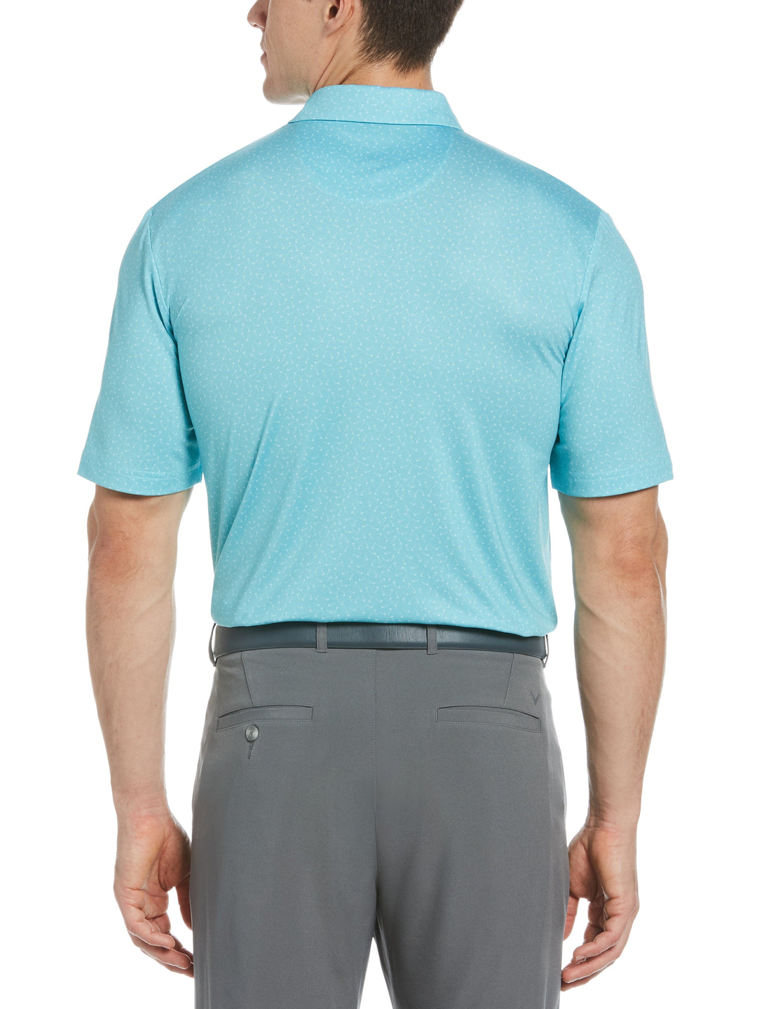 Big & Tall Printed Polo