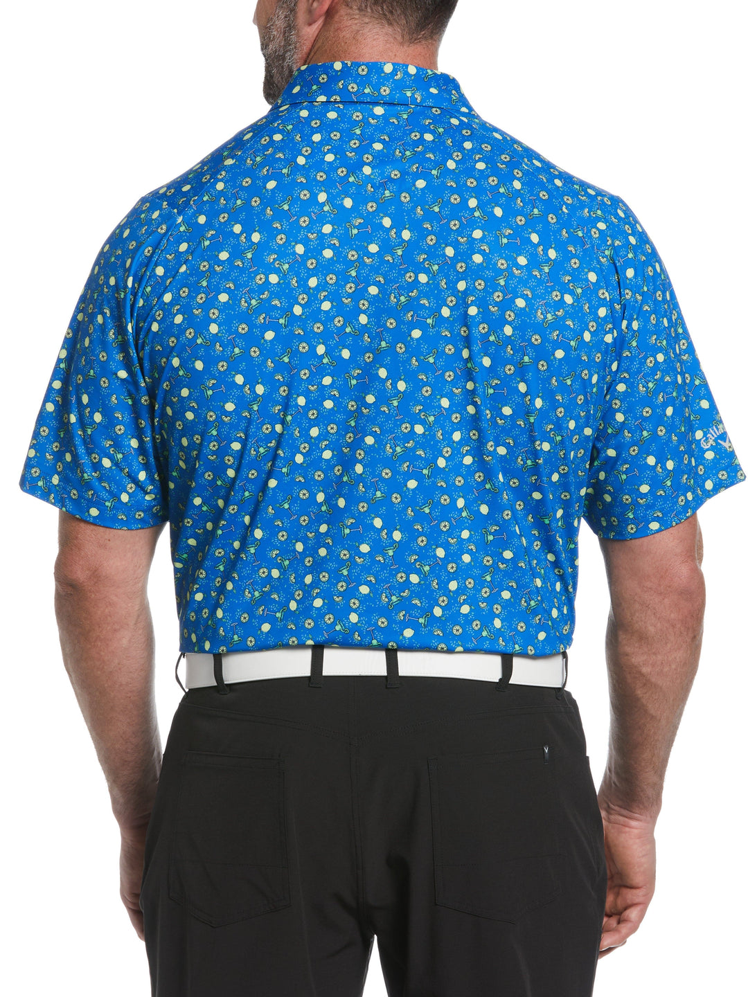 Big & Tall Ventilated Fruit Print Golf Polo