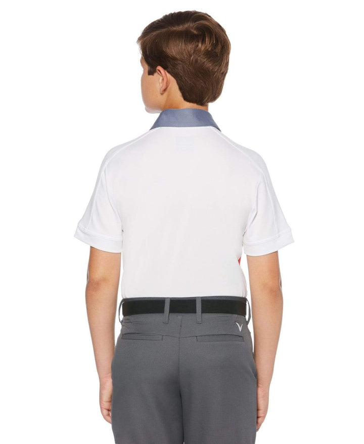 Boy's Callaway Mapped Color Block Polo
