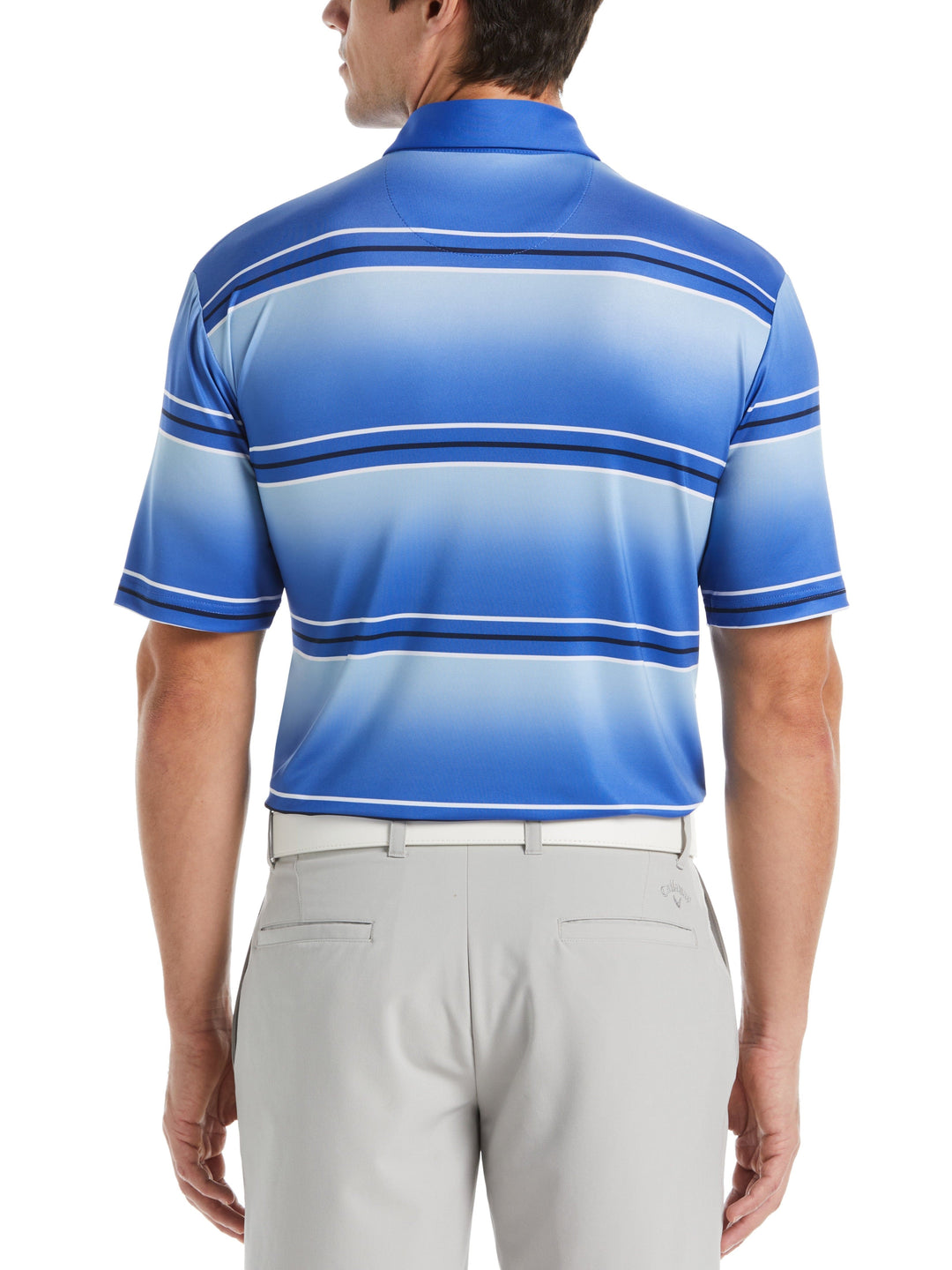 Energized Stripe Golf Polo (Amparo Blue) 