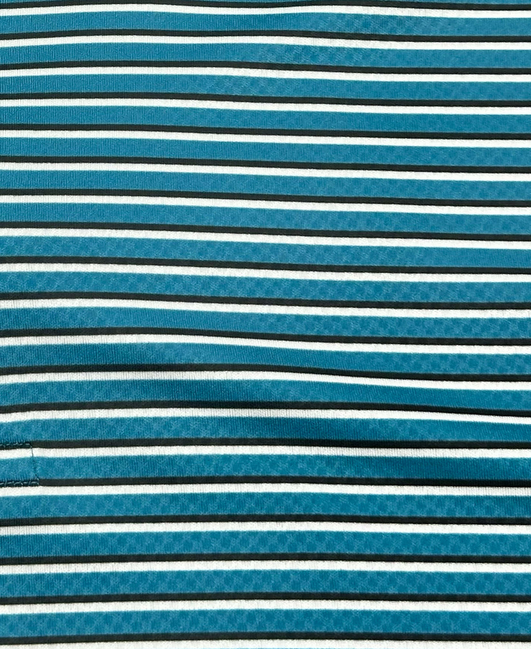 Feeder Stripe Print Golf Polo (Faience) 