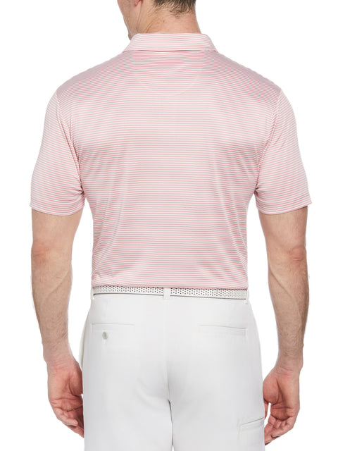 Short Sleeve 2 Color P/D Stripe Polo  (Sea Pink) 