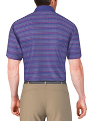 SS Jacquard With Solid Rib Collar (Dazzling Blue) 