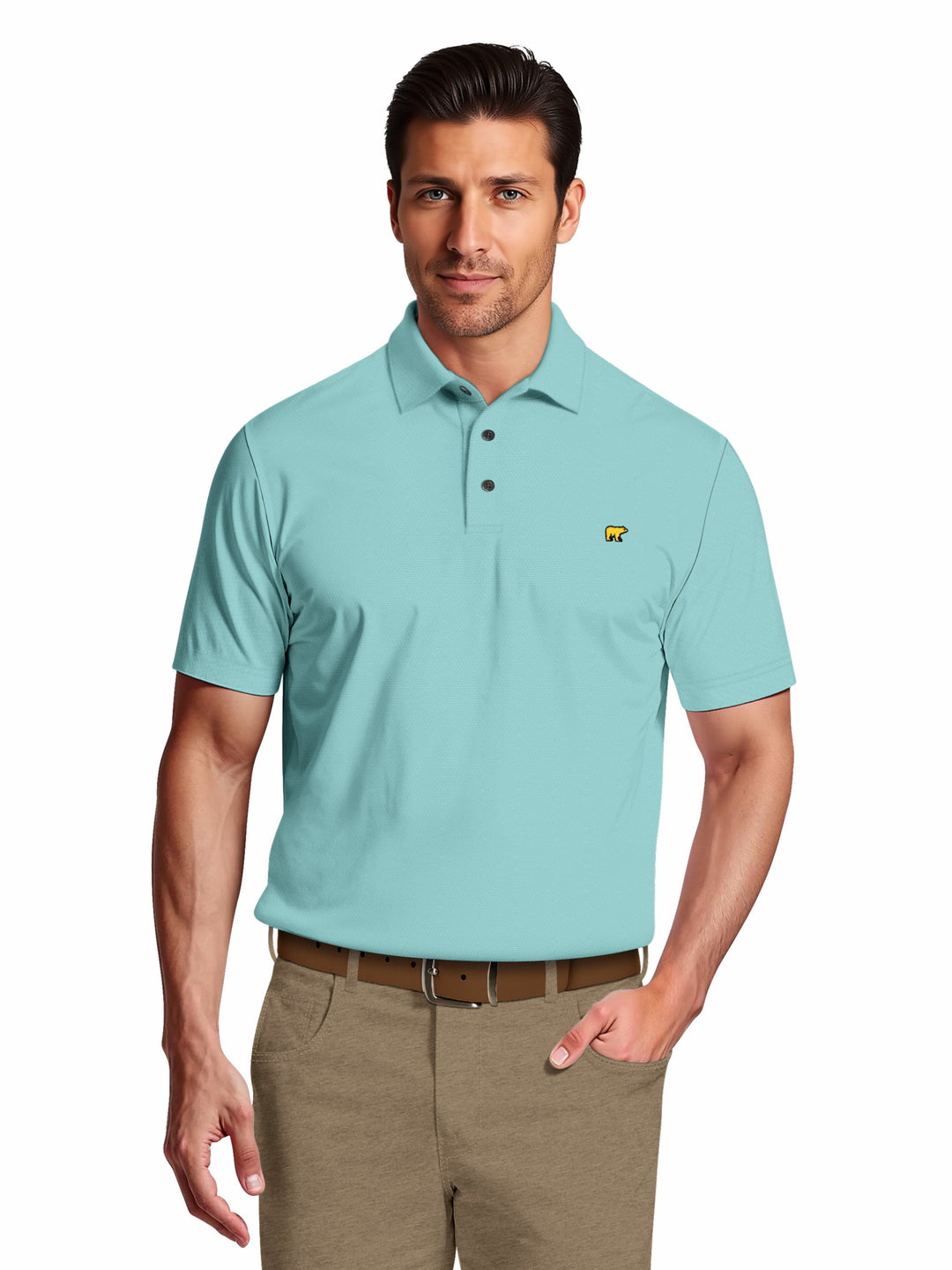 Men's Short Sleeve Textured Solid Polo
