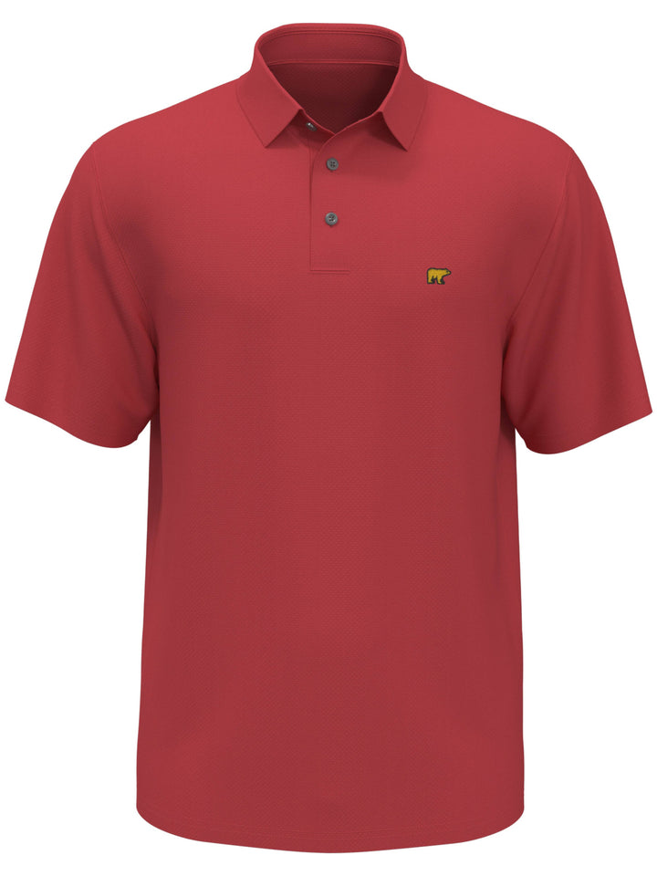 Men's Textured Solid Polo
