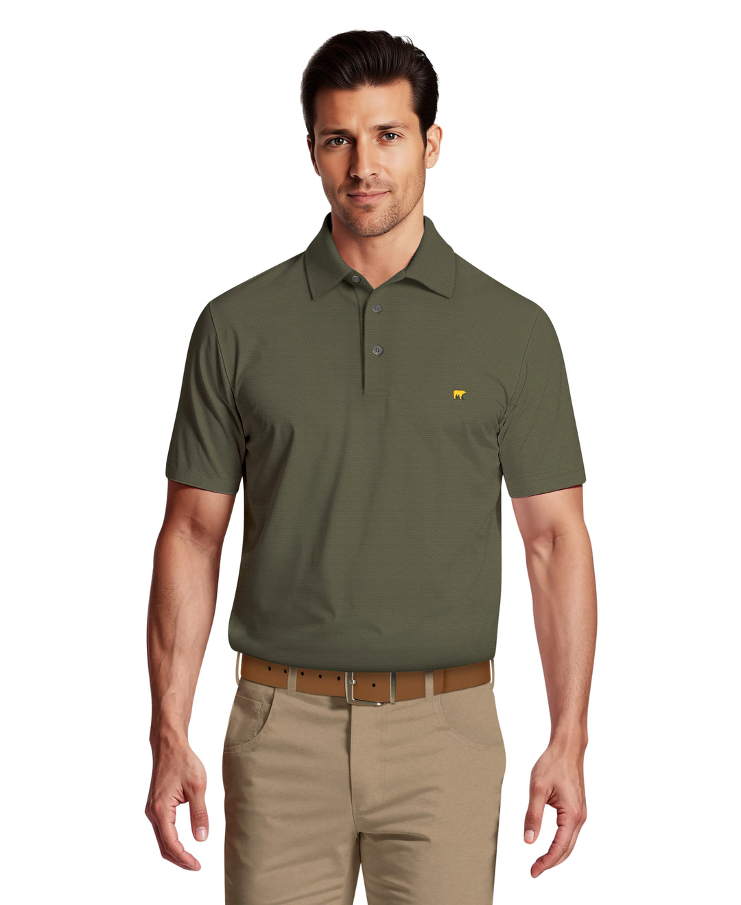 Short Sleeve Texture Solid Polo (Thyme) 