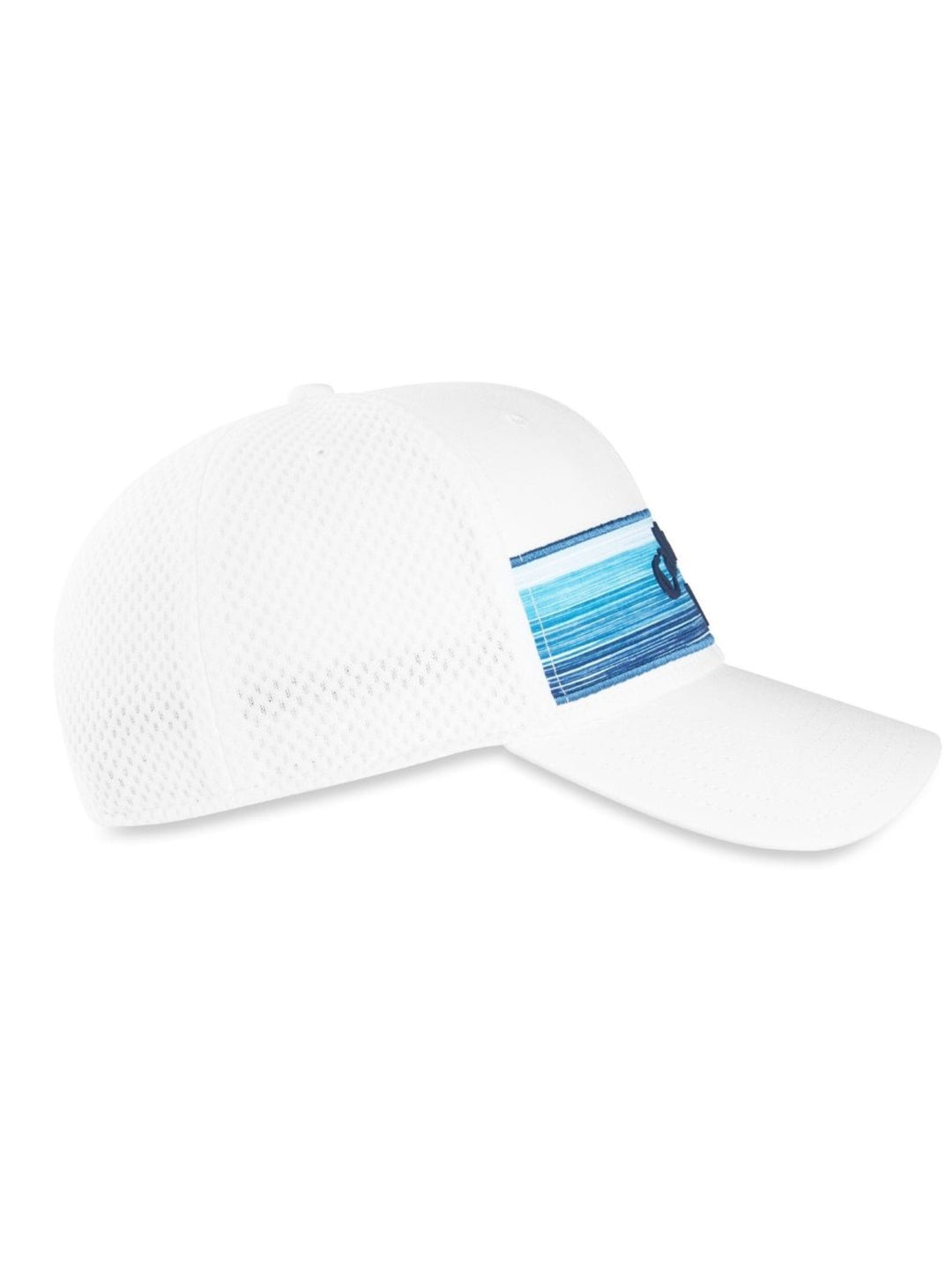 Stripe Mesh Cap