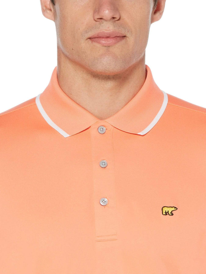 Men's Solid Golf Polo with Cuff Tipping